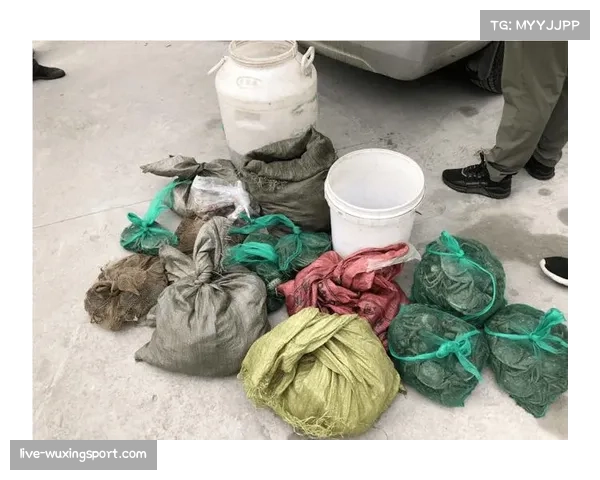 西班牙警方逮捕涉嫌操控欧冠比赛投注的犯罪团伙成员